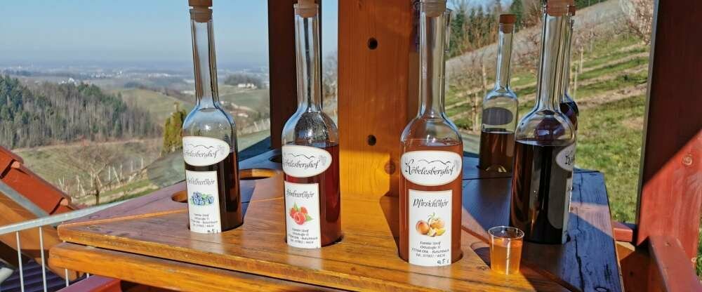 Ferienwohnung Nordrachtal - Umgebung