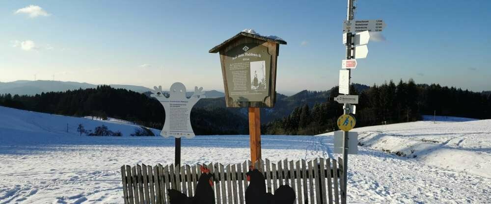 Ferienwohnung Nordrachtal - Umgebung