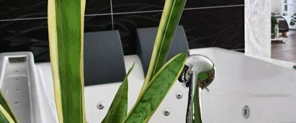 Ferienwohnung Zeit zu Zweit - Wellnessbereich