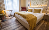 First Inn Hotel Zwickau - Umgebung