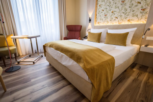 First Inn Hotel Zwickau - Umgebung