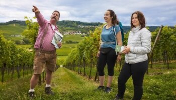 Flair Hotel Landgasthof Roger - Umgebung