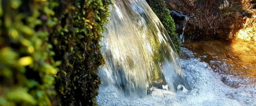 Flair Hotel Sonnenhof **** - Umgebung