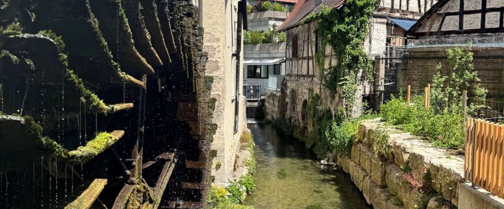 Flair Hotel Vier Jahreszeiten - Umgebung