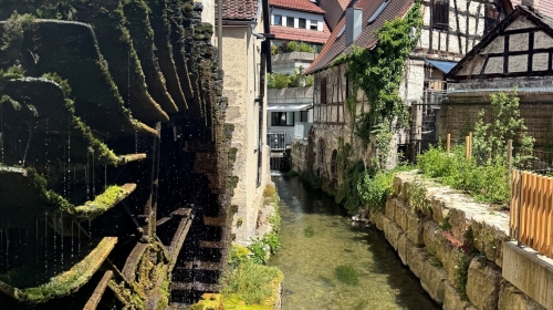 Flair Hotel Vier Jahreszeiten - Umgebung
