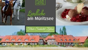Flair Seehotel Zielow - Restaurant