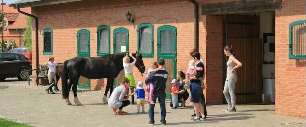 Flair Seehotel Zielow - Terrasse/Außenbereich