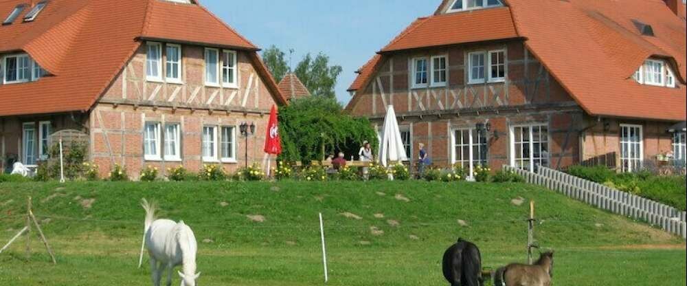 Flair Seehotel Zielow - Terrasse/Außenbereich