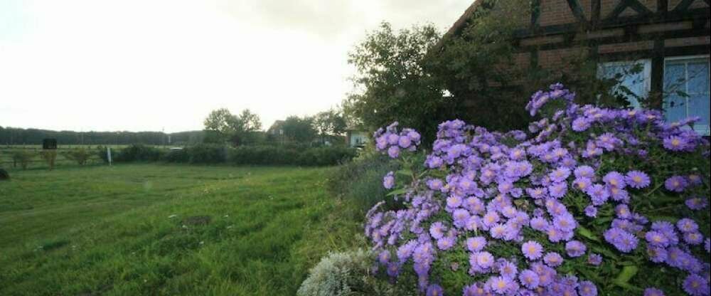 Flair Seehotel Zielow - Terrasse/Außenbereich