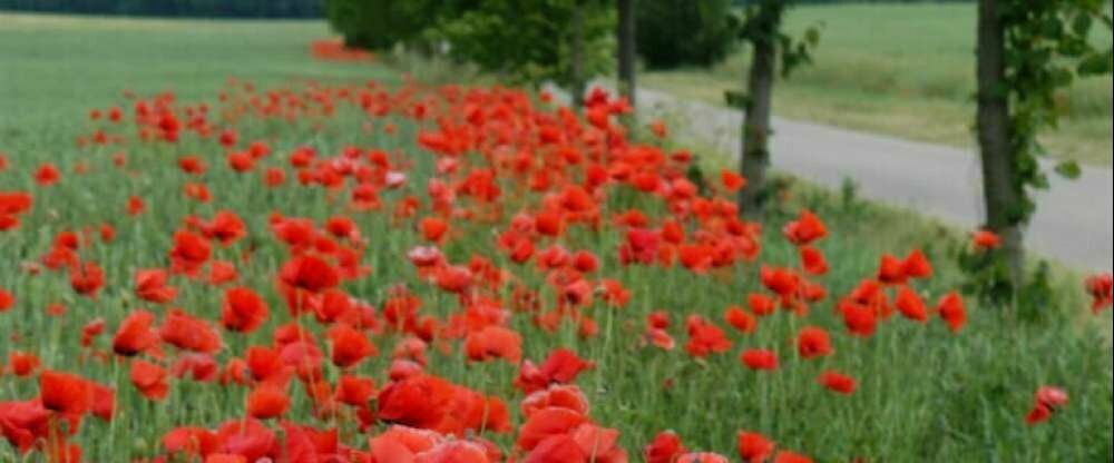 Flair Seehotel Zielow - Umgebung