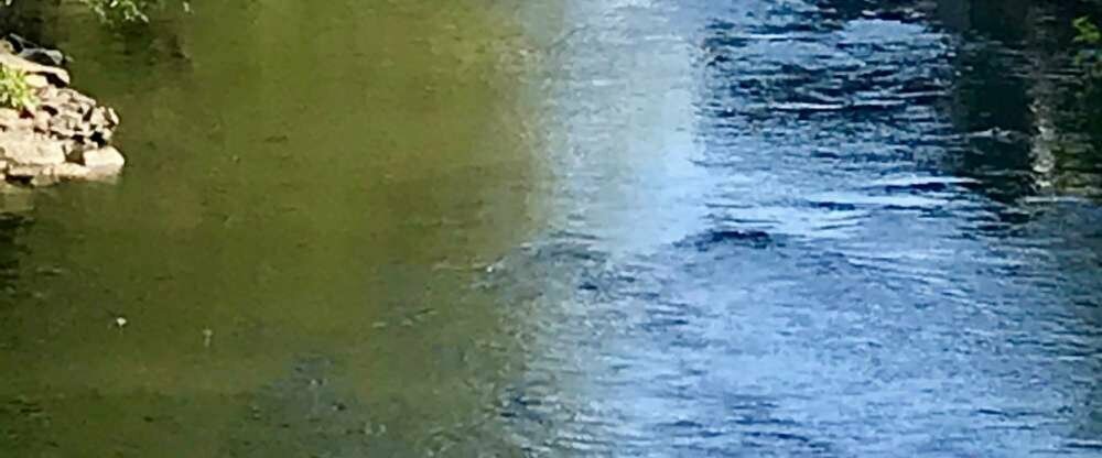 Genießen Sie einen tollen Ausblick auf unsere Wupper