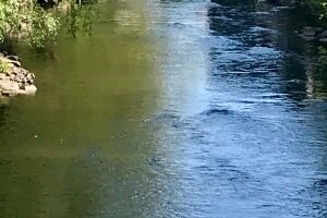 Genießen Sie einen tollen Ausblick auf unsere Wupper