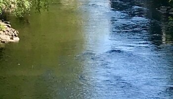 Genießen Sie einen tollen Ausblick auf unsere Wupper