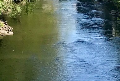 Aussicht auf die Wupper, Quelle: home2be apartments