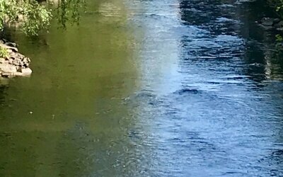 Genießen Sie einen tollen Ausblick auf unsere Wupper