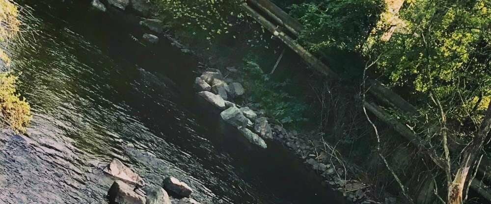 Genießen Sie einen tollen Ausblick auf unsere Wupper