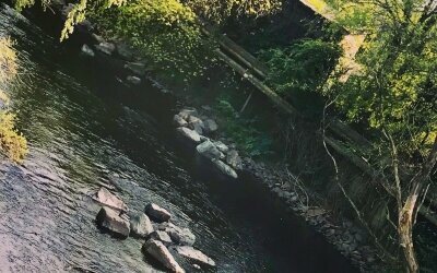 Genießen Sie einen tollen Ausblick auf unsere Wupper