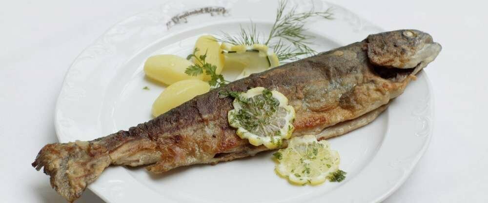 Forelle Müllerin Art