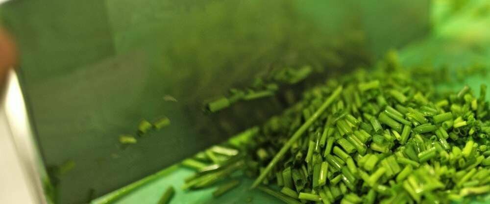 unser Küchenteam ist darauf bedacht mit frischen und regionalen Produkten zu arbeiten