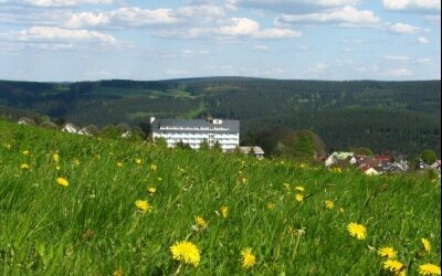 Frühling im Thüringer Wald