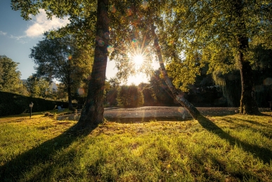 Array, Quelle: Der Glaserhof