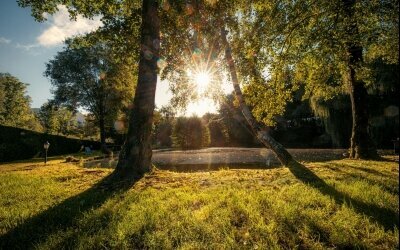 Garten  Hotelpark mit kleinem See