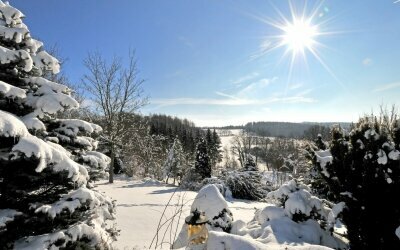 Garten im Winter