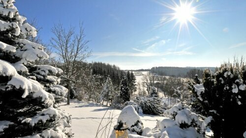 Garten im Winter