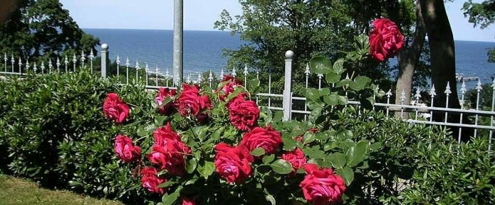 Gartenanlage im Waldhotel Göhren mit Ostseeblick