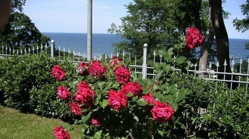 Gartenanlage im Waldhotel Göhren mit Ostseeblick