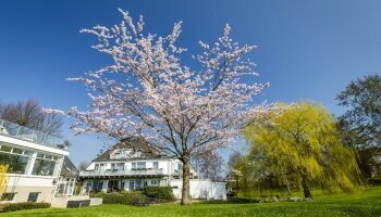 die Garten und Felder rund um das Hotel sind für die Gäste kostenfrei und ausgiebig nutzbar