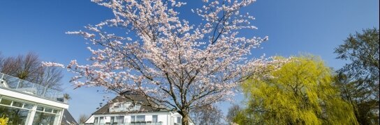 Gartenanlage, Quelle: HofHotel Krähenberg Grömitz