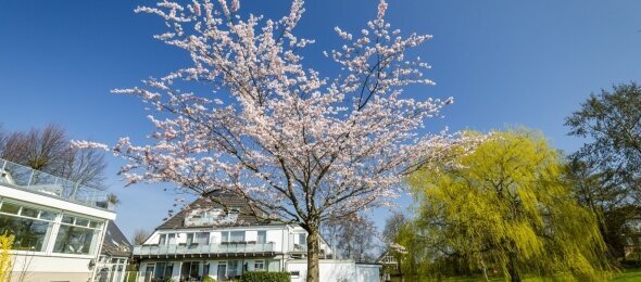 Gartenanlage, Quelle: HofHotel Krähenberg Grömitz