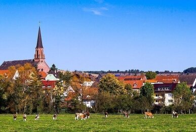 Array, Quelle: Gasthaus & Hotel Drei Lilien
