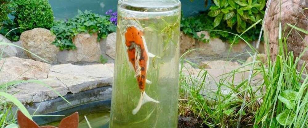 Gasthof Löwen Heitersheim - Terrasse/Außenbereich