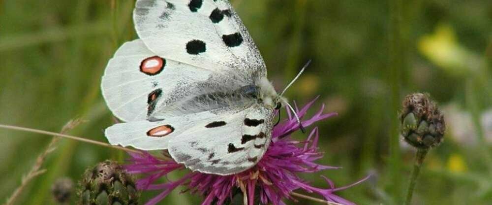 Gasthof zum Brunnen - Umgebung