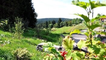 Gelände im Sommer