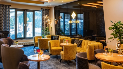 Göbel·s Schlosshotel Prinz von Hessen - Bar/Disco