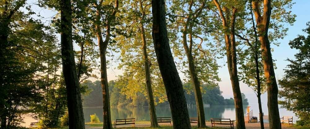 Golfhotel Kaiserin Elisabeth - Umgebung