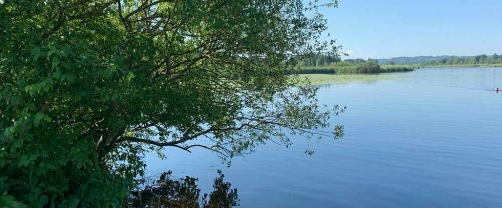 Golfhotel Kaiserin Elisabeth - Umgebung