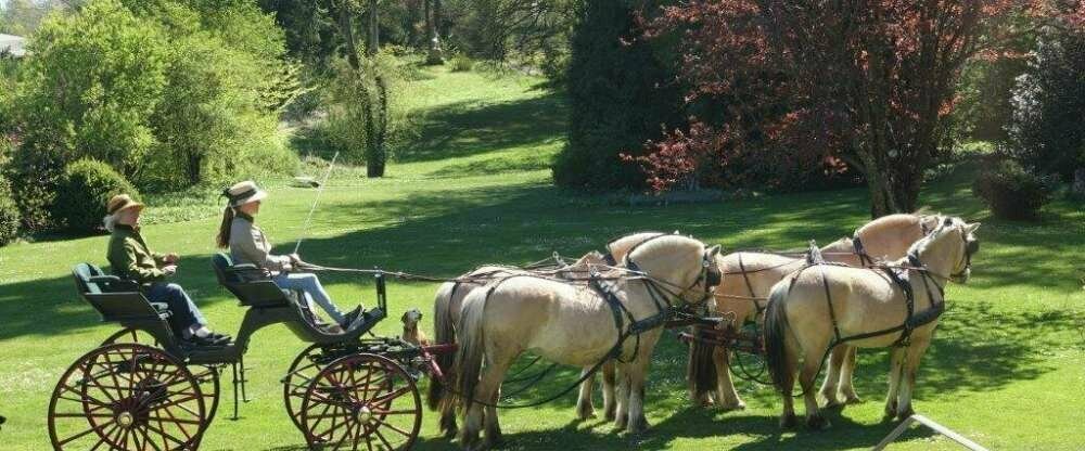 Golfhotel Kaiserin Elisabeth - Umgebung