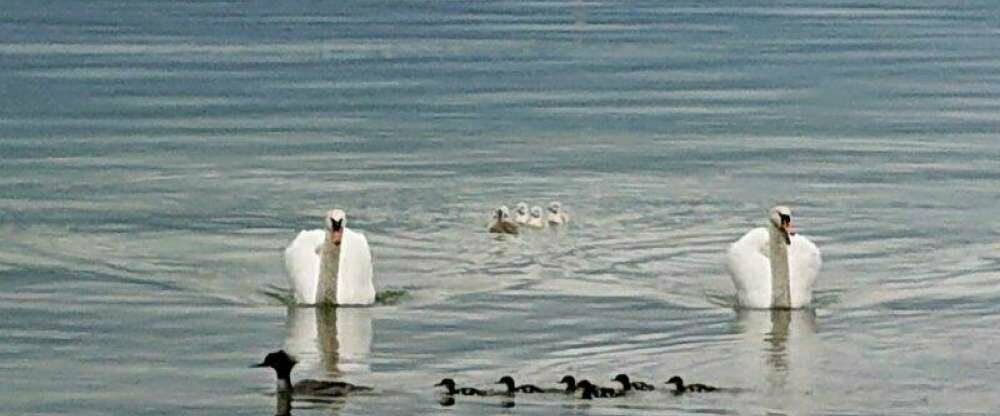 Golfhotel Kaiserin Elisabeth - Umgebung