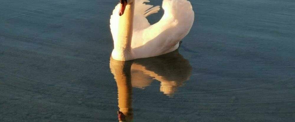 Golfhotel Kaiserin Elisabeth - Umgebung