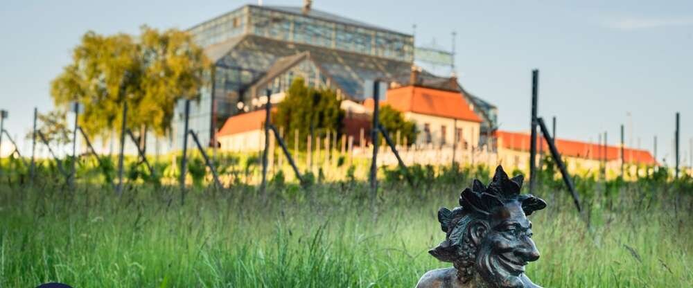 Grape Town Hotel - Umgebung