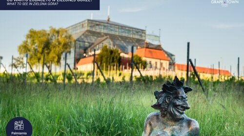 Grape Town Hotel - Umgebung