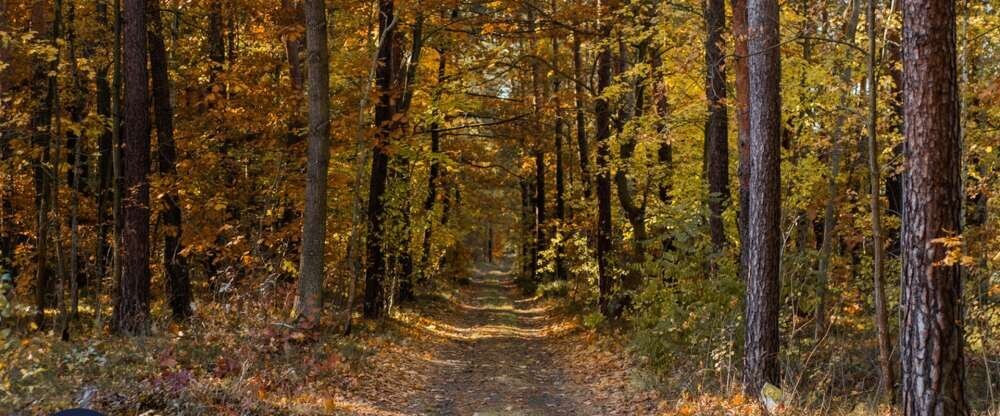 Grape Town Hotel - Umgebung