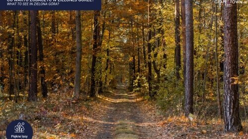 Grape Town Hotel - Umgebung