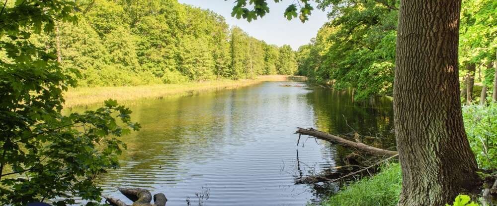 Grape Town Hotel - Umgebung