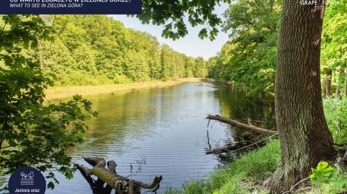 Grape Town Hotel - Umgebung