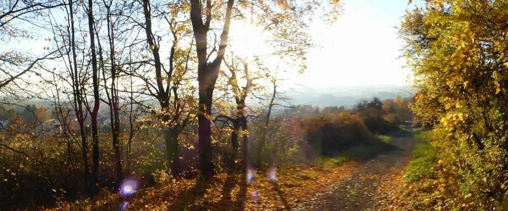 Hadamar und Umgebung